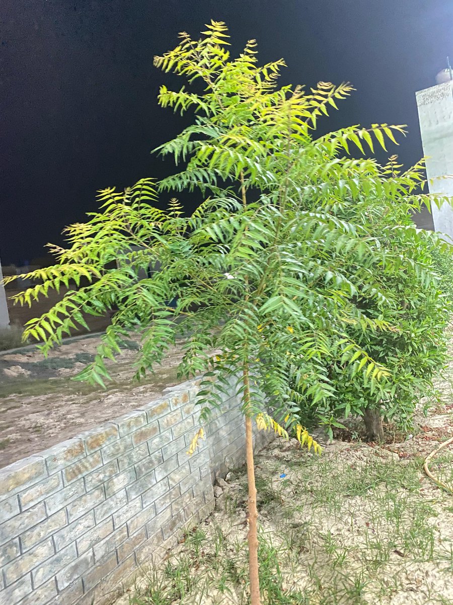 A small gift to my beloved Pakistan . Happy Independance day Pakistan.
#14august2025