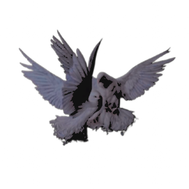 doveicide's tweet image. ⠀

⠀CATHEDRAL  OF  A  RIB  CAGE.⠀ 
⠀