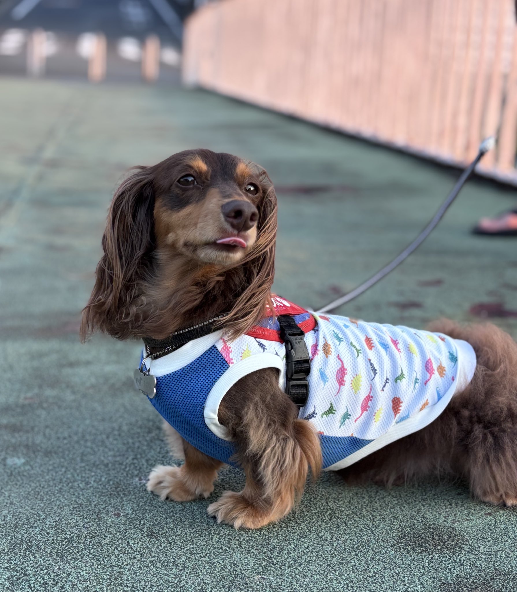 むぎページ むぎ太です (@mugimugita1113) / X