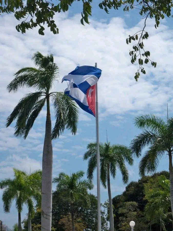 Tunero Por La Vida🇨🇺 (@girasol43692144) on Twitter photo <a href="/IzquierdaUnid15/">Izquierda Latina 💪</a> <a href="/DiazCanelB/">Miguel Díaz-Canel Bermúdez</a> <a href="/DrRobertoMOjeda/">Dr. Roberto Morales Ojeda</a> <a href="/EVilluendasC/">Enrique Villuendas</a> <a href="/AsambleaCuba/">Asamblea Nacional Cuba</a> <a href="/PartidoPCC/">Partido Comunista de Cuba</a> <a href="/DeZurdaTeam_/">DeZurdaTeam 📳</a> <a href="/InesMChapman/">Inés María Chapman Waugh</a> <a href="/MMarreroCruz/">Manuel Marrero Cruz</a> <a href="/Ana_Hurtado86/">Ana Hurtado</a> <a href="/agnes_becerra/">Agnes Becerra</a> #ConMisPropiasManos
Seguiré defendiendo La Revolución
¿Acaso crees
Que hay algo más sublime que la patria?
Quien a su patria defender ansía
Ni en sangre ni en obstáculos repara;
Del tirano desprecia la soberbia;
En su pecho se estrella la amenaza
Buenos Días 🇨🇺
<a href="/Aleidacr84/">Aleida</a> <a href="/IzquierdaUnid15/">Izquierda Latina 💪</a> <a href="/DiazCanelB/">Miguel Díaz-Canel Bermúdez</a> <a href="/DrRobertoMOjeda/">Dr. Roberto Morales Ojeda</a> <a href="/EVilluendasC/">Enrique Villuendas</a> <a href="/AsambleaCuba/">Asamblea Nacional Cuba</a> <a href="/PartidoPCC/">Partido Comunista de Cuba</a> <a href="/DeZurdaTeam_/">DeZurdaTeam 📳</a> <a href="/InesMChapman/">Inés María Chapman Waugh</a> <a href="/MMarreroCruz/">Manuel Marrero Cruz</a> <a href="/Ana_Hurtado86/">Ana Hurtado</a> <a href="/agnes_becerra/">Agnes Becerra</a> #ConMisPropiasManos
Seguiré defendiendo La Revolución
¿Acaso crees
Que hay algo más sublime que la patria?
Quien a su patria defender ansía
Ni en sangre ni en obstáculos repara;
Del tirano desprecia la soberbia;
En su pecho se estrella la amenaza
Buenos Días 🇨🇺
<a href="/Aleidacr84/">Aleida</a>