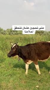 zar1aki's tweet photo. @rzzee11 @Arsenal https://t.co/aTh2m62wpe