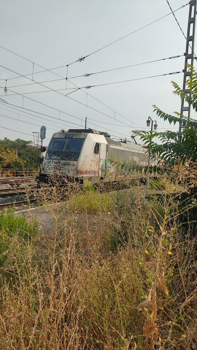 Muchas gracias al maquinista que me ha hecho el favor de dejarme subir a la cabina del tren , la ilusión que me ha hecho es enorme 😍
