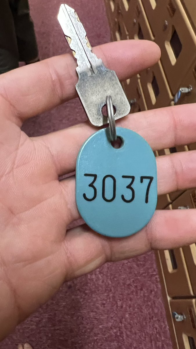 ❁はな❁ 花と観葉植物を贈るオシャレなフラワーギフトショップ - 宅配