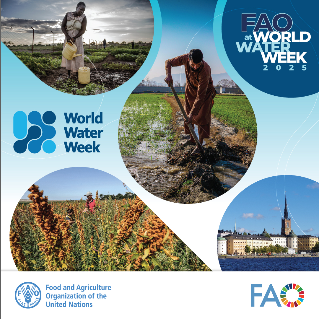 FAOLandWater's tweet photo. This year, once again @FAO will be present at at #WWWeek with a full calendar of events on sustainable water management in #agriculture 

Check them out here! 👇 
https://t.co/HXq1s6nxlO 

#WaterAction https://t.co/5mPwlIZCvA