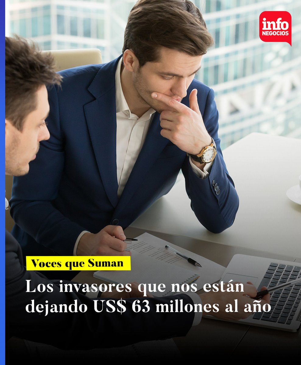 InfoNegocios_PY's tweet photo. 🗣 #VocesQueSuman |

Nómades digitales invaden Asunción y generan US$ 63 M/año: viven, laburan y pagan acá sin impuestos ¡Boom económico! 💻🌎💰

https://t.co/BkSc4Kx8nr https://t.co/IDfNharoVy