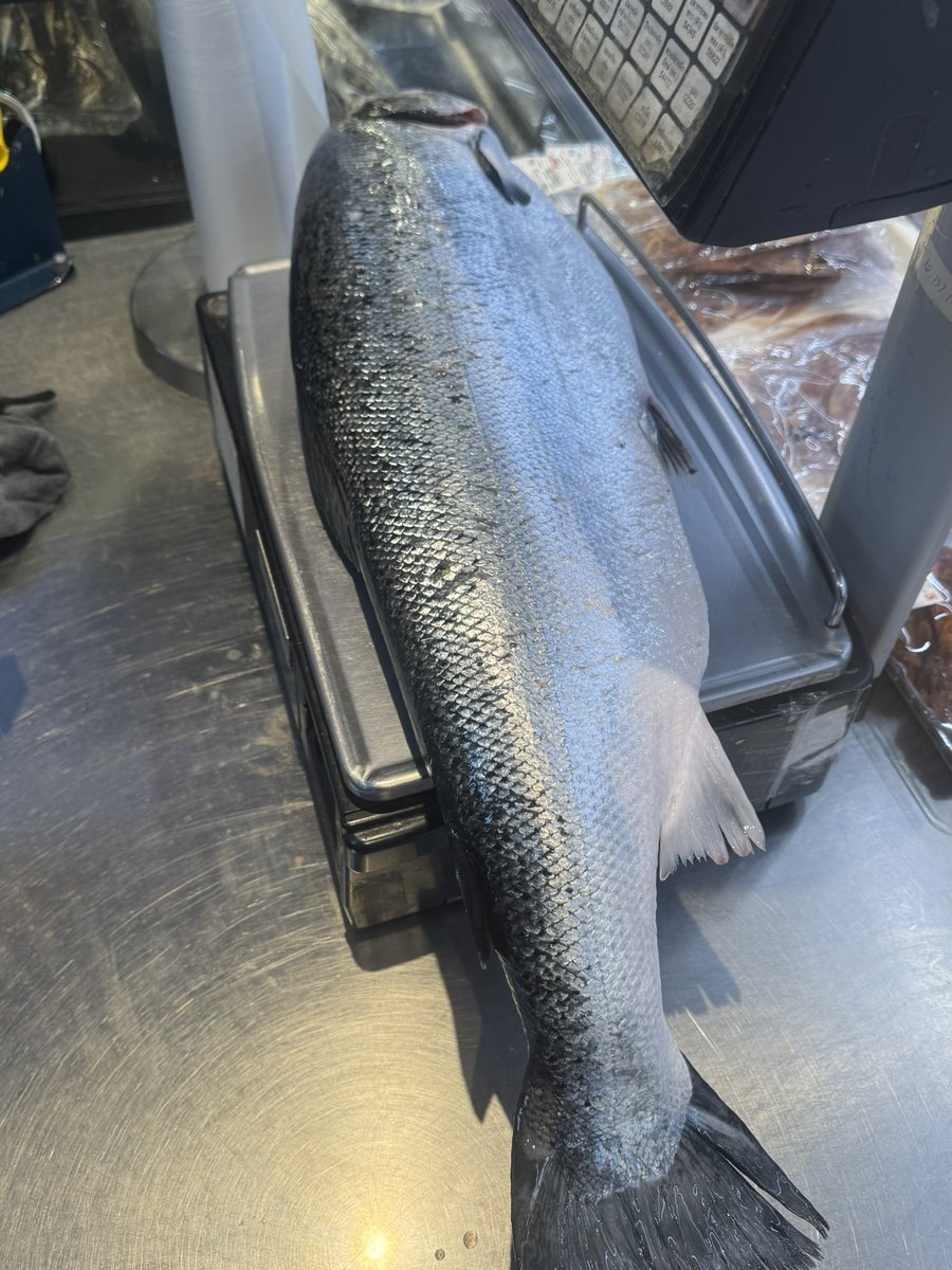 Today I just turned $DYDX into 6KG Sashimi 😋