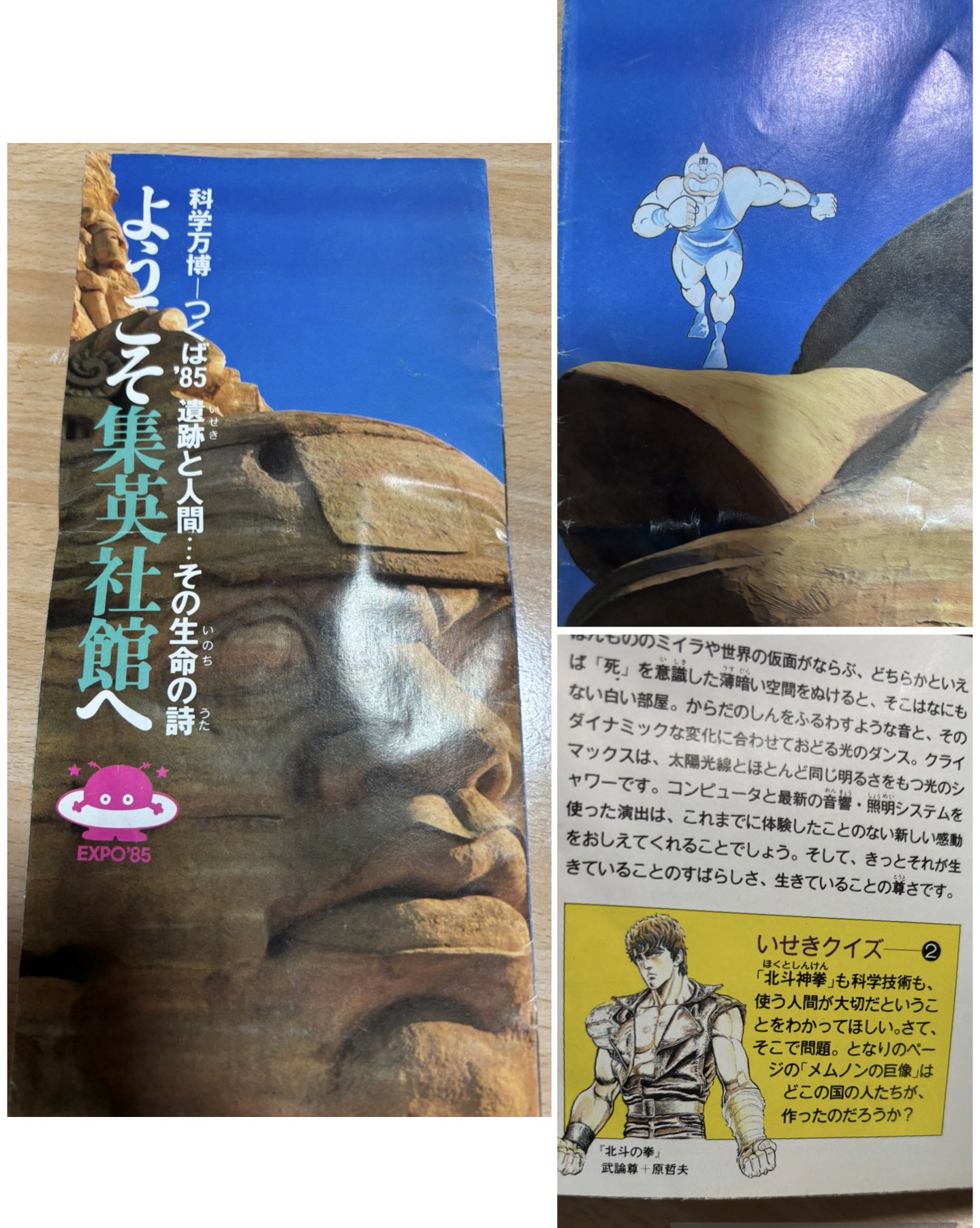 ニャガ山 on X: 