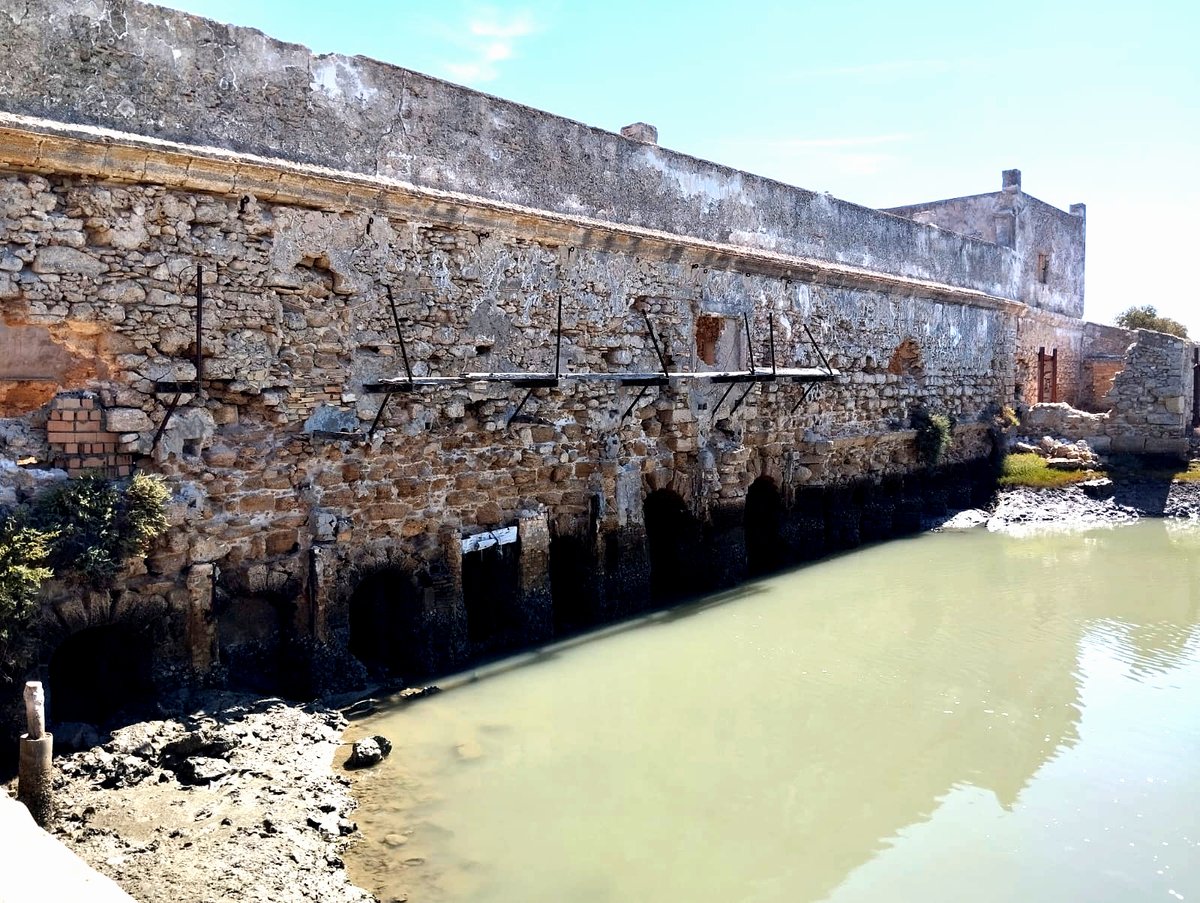 ☀️Hemos visitado 3 #salinas en #Cádiz para evaluar su estado de conservación: vueltas de fuera, riendas, muros interiores, compuertas y accesos.También hemos analizado elementos clave del patrimonio arqueológico, como los molinos de marea

👉 #SALEMPRENDE 
ctaqua.es/250401-salempr…