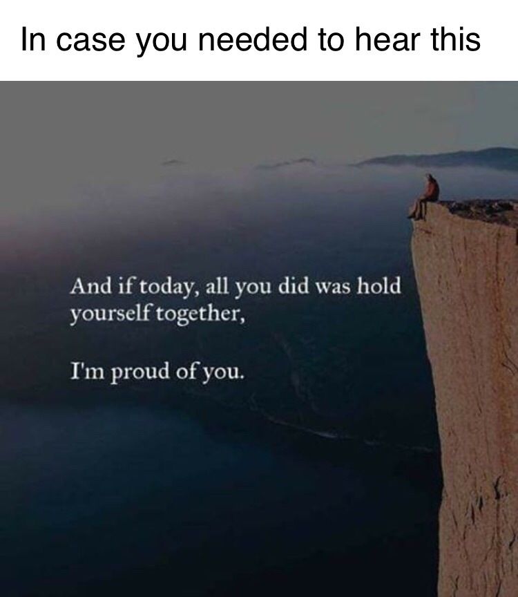 WholesomeMemes (@wholesomememe) on Twitter photo 