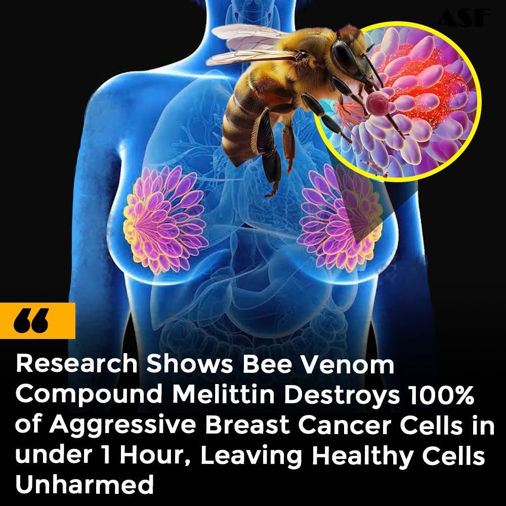 thfc67's tweet image. Boobees 😜