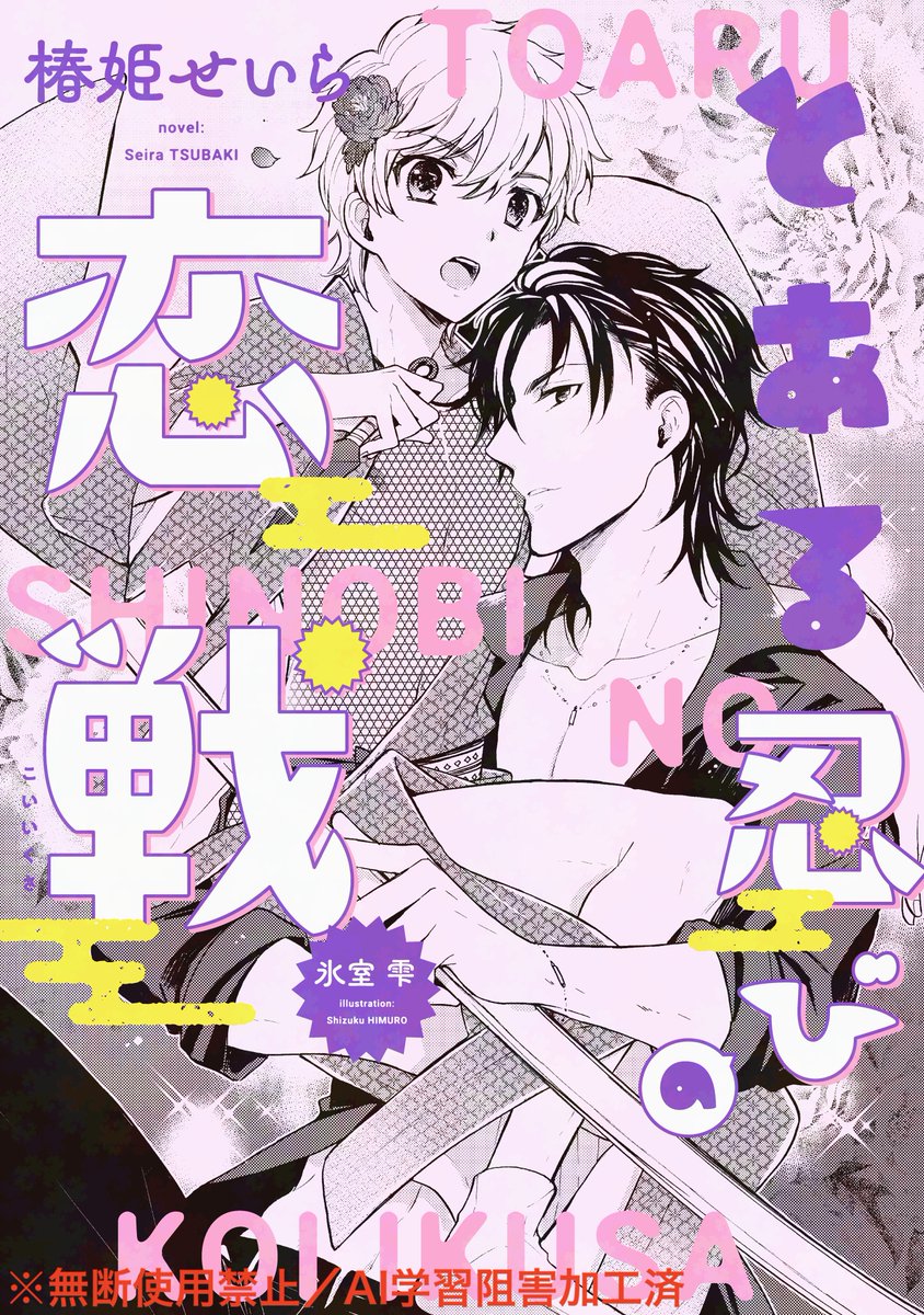 BL小説33冊セット プラチナ文庫 セシル文庫 ディアプラス文庫他 新書館コミック＆ノヴェル