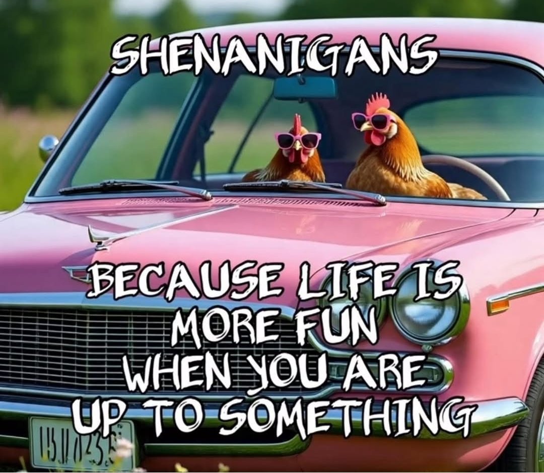 Fiona H Kierton 💖🕊✝️🇺🇦🏳️‍🌈🇨🇮 tweet media