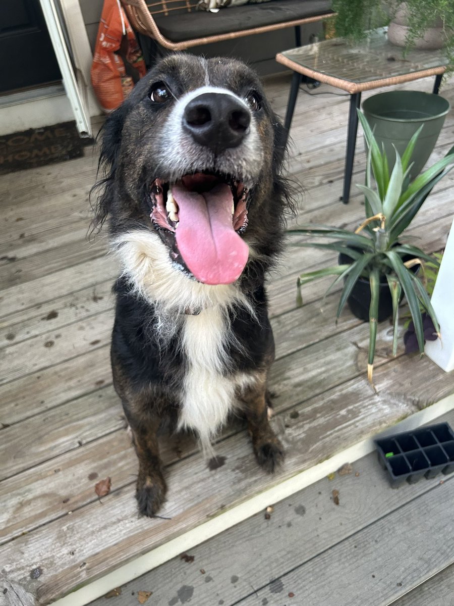 Prof_PBR tweet media