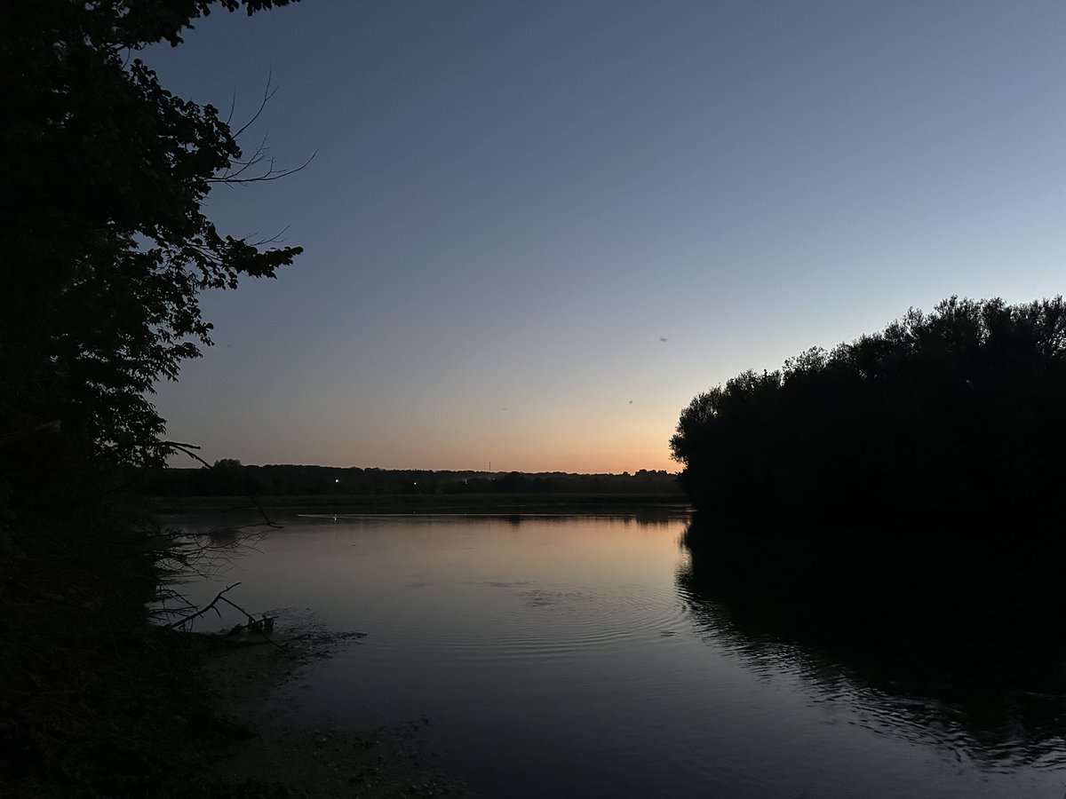 Куртуазна історикиня tweet media