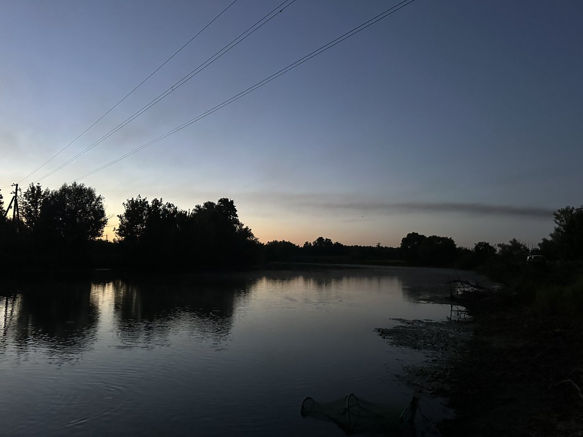 Куртуазна історикиня tweet media