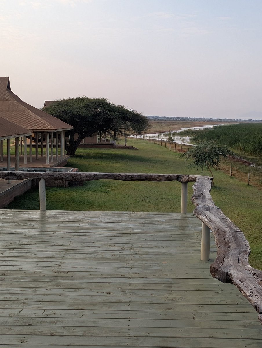 AlphaLandRover's tweet photo. We paid for the place via eCitizen as per KWS rates and listing. However by morning, the powers that be /or the Private developer sent word that we should break camp and leave.
Don't forget we weren't allowed to step on the new grass π€£π€£
#AlphaLandrover #overlandingKenya https://t.co/oXQlwScFqI
