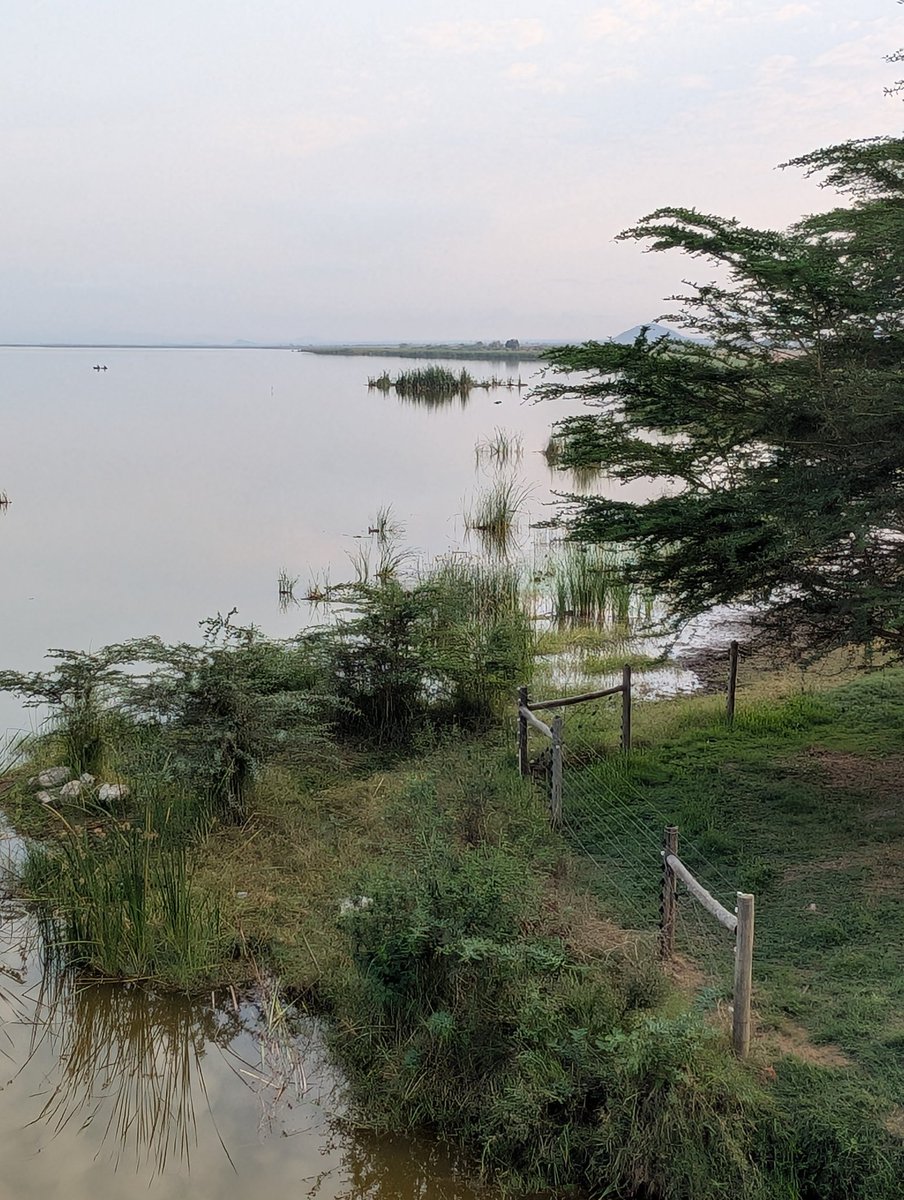 AlphaLandRover's tweet photo. We paid for the place via eCitizen as per KWS rates and listing. However by morning, the powers that be /or the Private developer sent word that we should break camp and leave.
Don't forget we weren't allowed to step on the new grass π€£π€£
#AlphaLandrover #overlandingKenya https://t.co/oXQlwScFqI