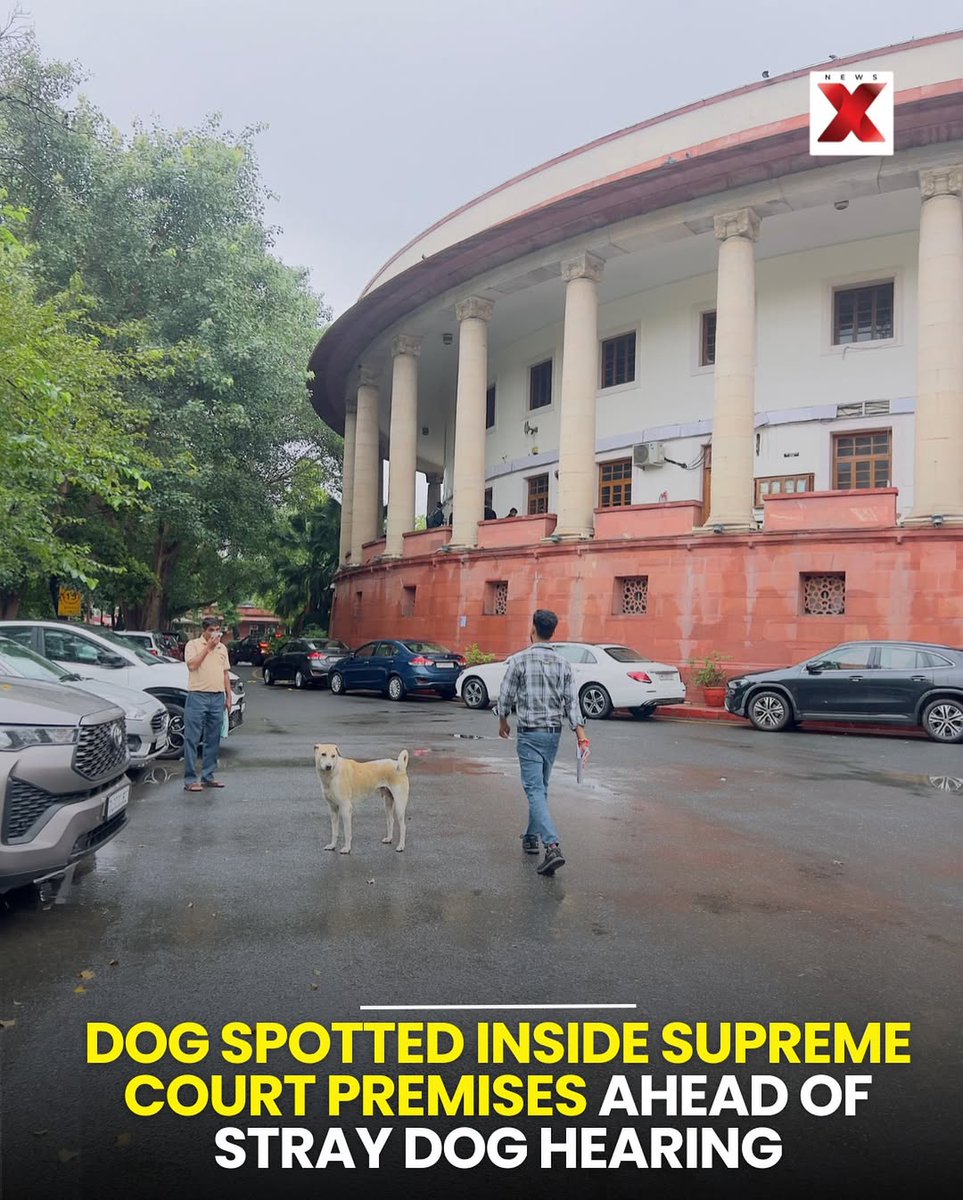 NewsX's tweet photo. In a striking coincidence, a dog was seen roaming inside the Supreme Court premises just hours before the bench was set to hear the high-profile stray dog case.

#supremecourt #straydogcase #delhinews #straydogs #delhincr https://t.co/02NdRJCfKu