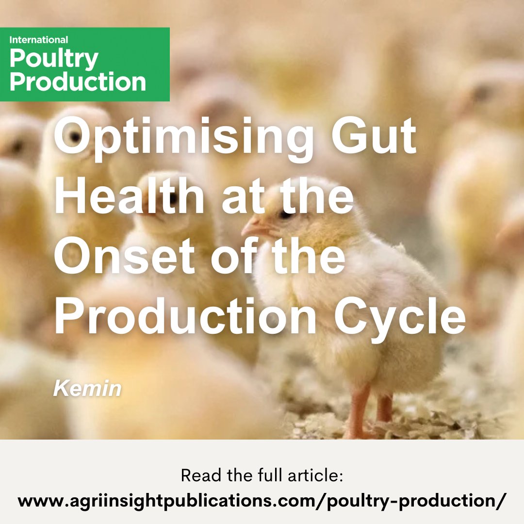 Gut health matters from day one. 

In International Poultry Production (33.4), <a href="/KeminInd/">Kemin Industries</a> shares why early intestinal integrity is key to resilience, performance and long term productivity. 

Read the article here: agriinsight.link/IPP_33_4_Kemin

#poultryproduction #guthealth