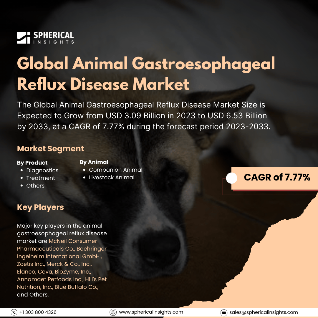 📢 Animal Gastroesophageal Reflux Disease (GERD) Market – Strong Growth Ahead

Get More Information :  sphericalinsights.com/our-insights/a…
.
 USD 3.09 billion in 2023 To USD 6.53 billion by 2033, at a CAGR of 7.77% during 2023–2033.
.
#AnimalHealth #VeterinaryMedicine #GERD #PetCare