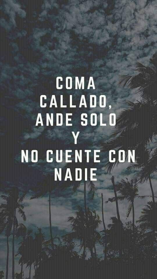 Disciplina (@eligedisciplina) on Twitter photo 