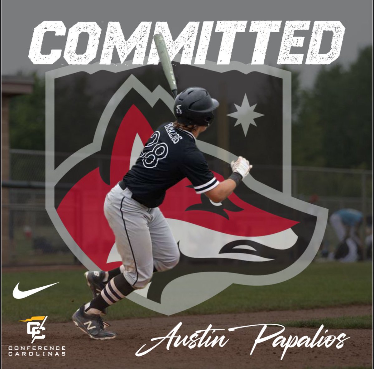 apap2728's tweet image. I’m grateful to announce my commitment to North Greenville University. Thank you to everyone who helped me to reach this goal, I wouldn’t be here without y’all!
@RSA_Baseball 
@BCreekBaseball 
@GC_Throwbacks 
@AntinoriRick 
@jreb36 
@rickwhite4400 
@LandonPowell10 
@NGUBaseball