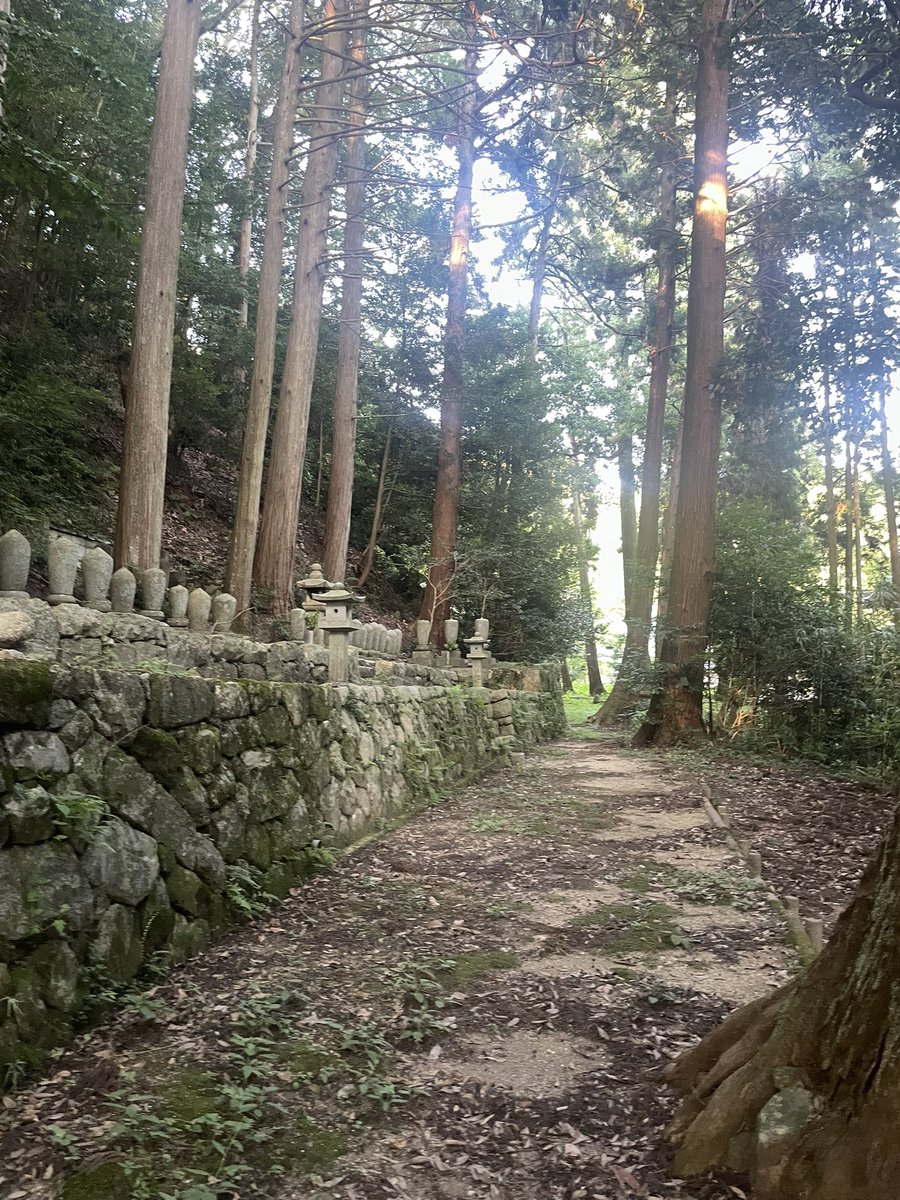 雲興寺まで行ってきた。
ボーイスカウトで歩いた道を歩いてみたく何となく。
到着まで2時間掛かるらしい。10分くらいで諦めた。行ったきりで戻るに戻れなくなるからな。
さほど思い出になる様な体験はしていないが引き寄せられるのだ。