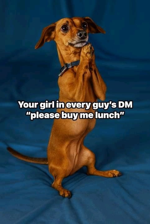 Your girlfriend in our DM's 🤣