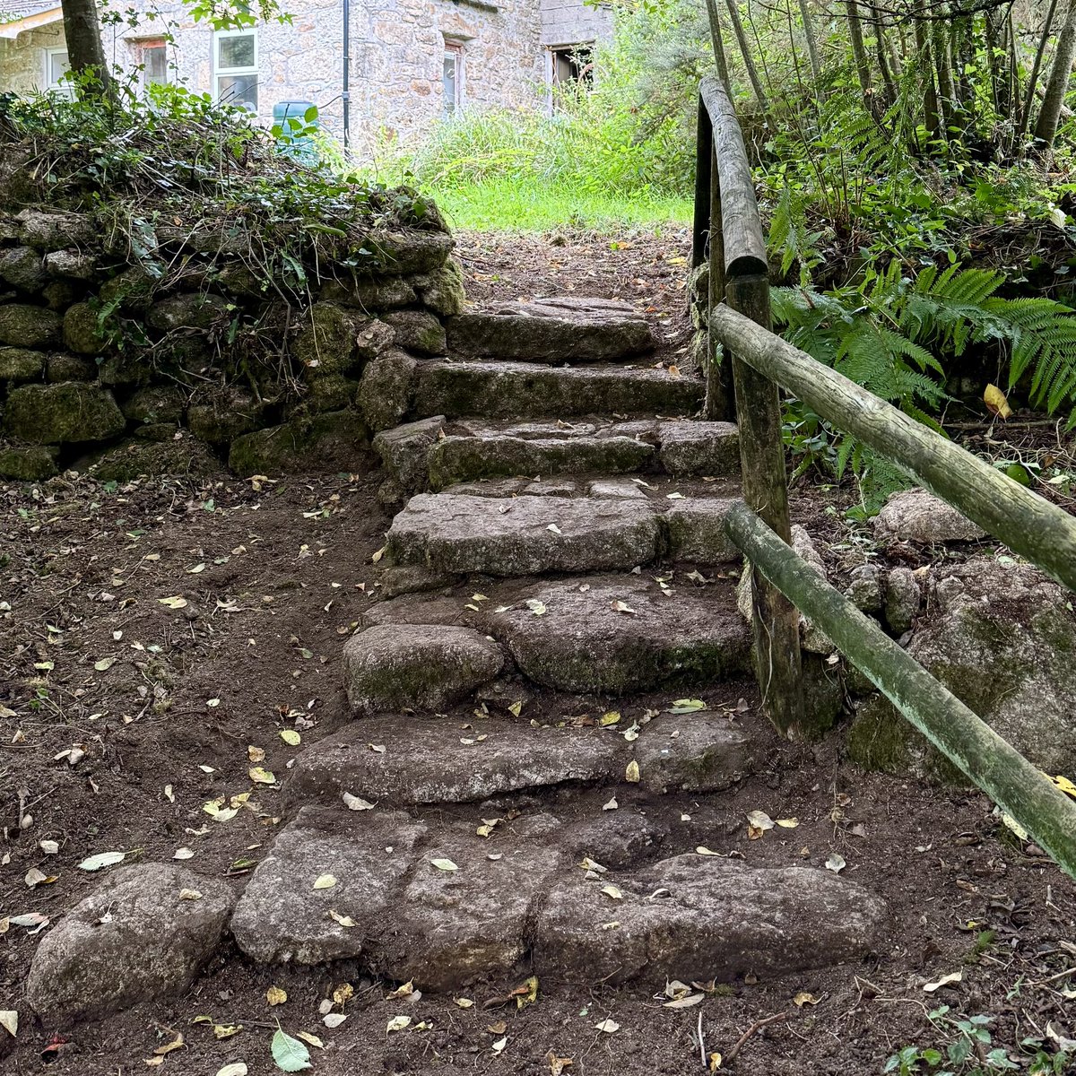 sarahmcquaid's tweet image. -&amp;gt; uncovered a 2nd set of #stonesteps down to lower #garden with a long curving bed extending all the way to the strawberrries I planted back in April 2024 beside the other steps. I’m hoping I can clear rest of the #overgrowth blocking my access to shed in final pic before -&amp;gt;