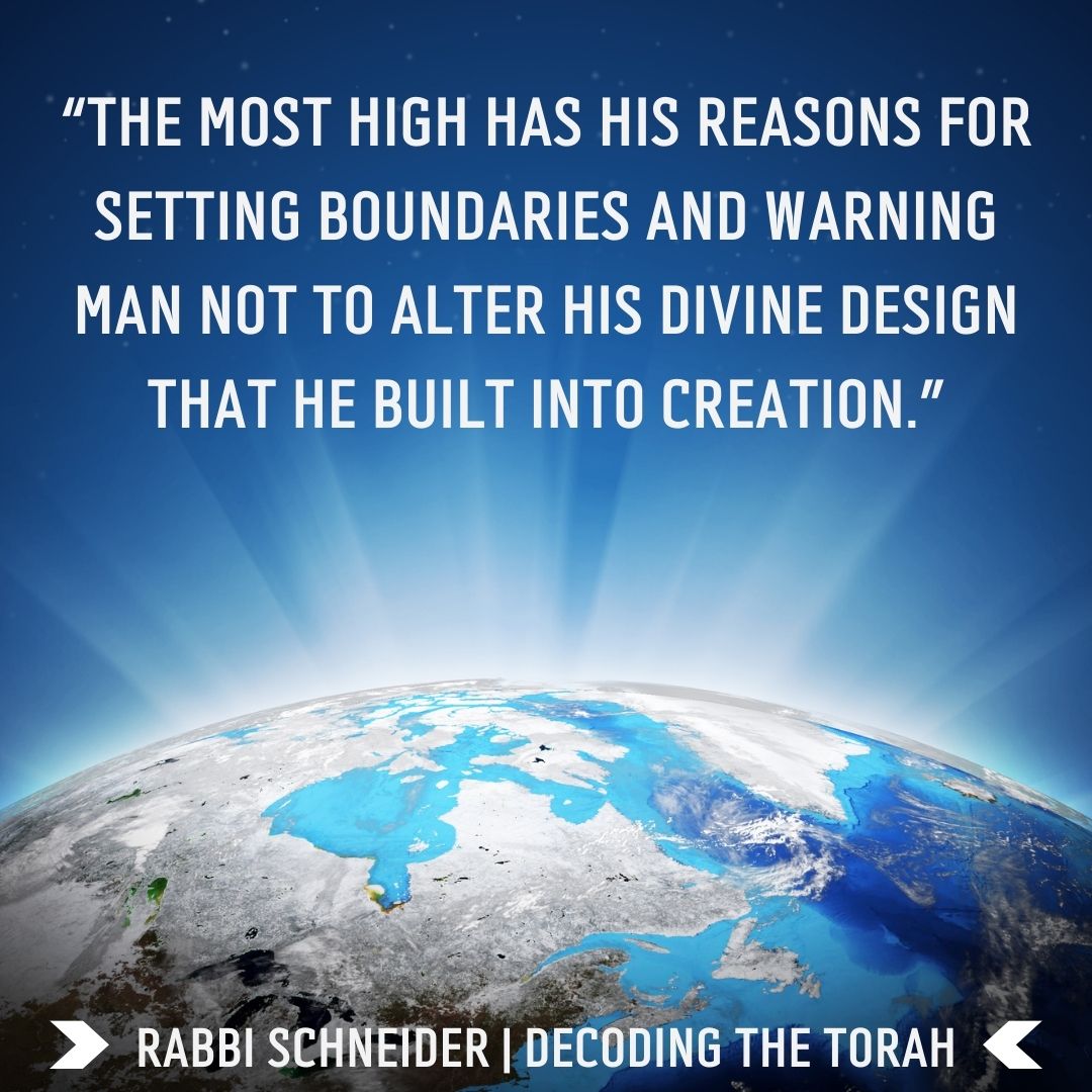 charismahouse's tweet image. Trying to “play God” has major unseen consequences. 

Learn more in Rabbi Schneider’s “Decoding the Torah.” 

Order Your Copy: bit.ly/decodingthetor… 

Stay Connected: @RabbiSchneider

#AncientCommands #GodsJustice #SacredConnection