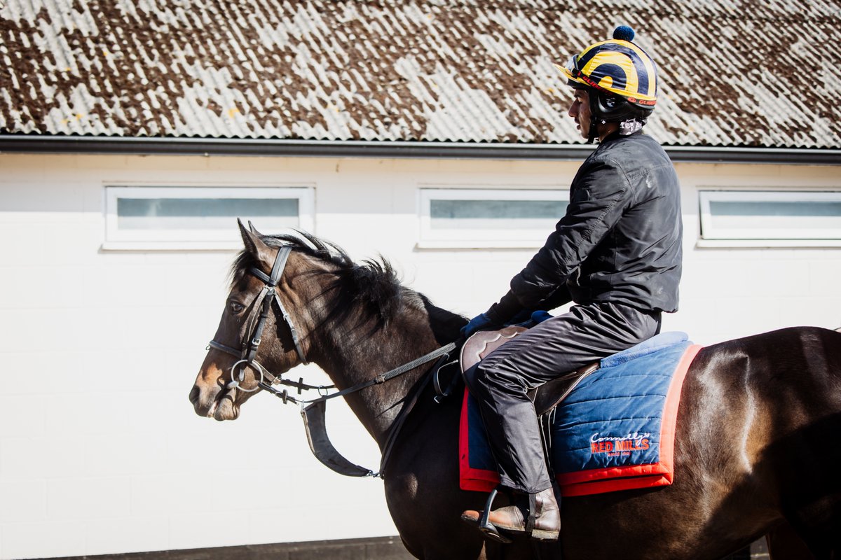 Coral Racing Club (@crcofficial) on Twitter photo It's raceday! 🤩
Katalyst runs in the 15:35 at <a href="/Chepstow_Racing/">Chepstow Racecourse</a> for <a href="/Muir_Grassick/">Muir & Grassick Racing</a> with <a href="/EDMUNDZZ98/">Lewis Edmunds </a> in the saddle.
Good luck to all 10 of our owners for the day! 🤞 It's raceday! 🤩
Katalyst runs in the 15:35 at <a href="/Chepstow_Racing/">Chepstow Racecourse</a> for <a href="/Muir_Grassick/">Muir & Grassick Racing</a> with <a href="/EDMUNDZZ98/">Lewis Edmunds </a> in the saddle.
Good luck to all 10 of our owners for the day! 🤞
