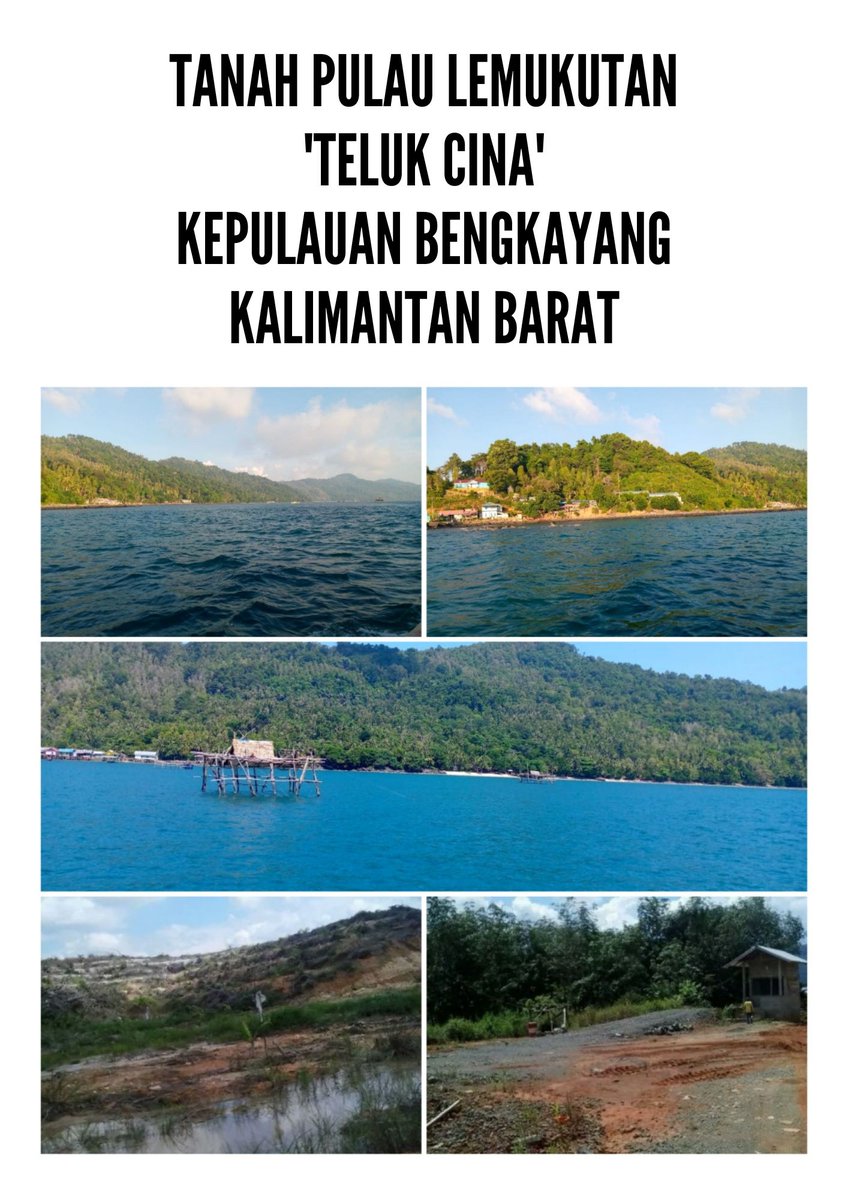liza77goods's tweet photo. Bismillahirrahmanirrahim
blm nyerah sampe laku 🔥

Dijual tanah di Pulau Lemukutan kep.bengkayang kalimantan barat

saya nazar klo laku saya kasih 100jt utk 10 org beruntung yg bantu RT twit ini

izin bantu RT ya bang 🙏
@satyaXBT @Brianeedsleep @hadibadex  @0tk0il @setyamickala https://t.co/xbqNTaseuO