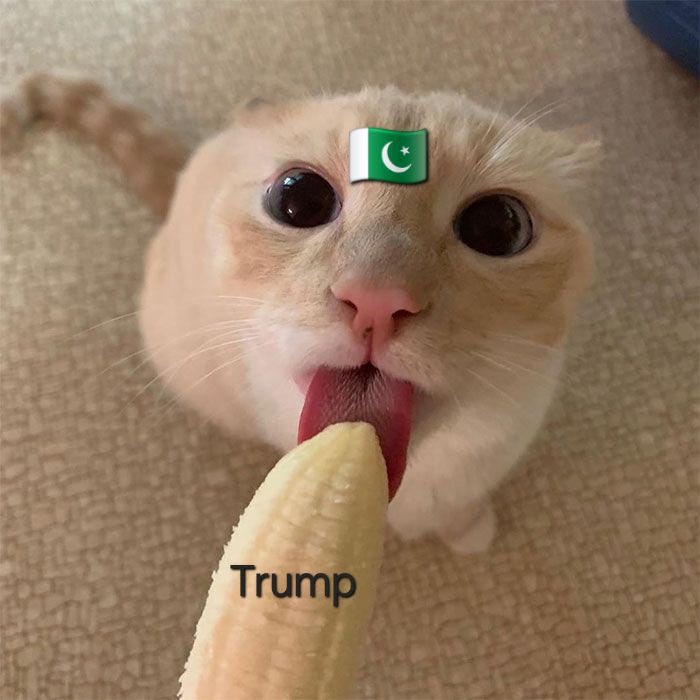 firezoneind's tweet photo. @hindus47 Pakistan nowdays https://t.co/GoaVxCUdpQ