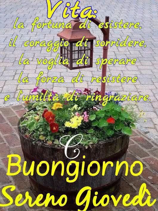 ADA79991318's tweet photo. @strange_days_82 #CIAOO
#CARISSIMO
#DAVIDE๐ฅฐโฅ๏ธ
#BUON #LAVORO๐๐ฏ
#BUONA #GIORNATAโ๏ธโ๏ธ
#E
#BUON #PRANZO๐๐บ
#CON #UN
#ABBRACCIO ๐ฅฐ๐ฎ๐น
#GRANDE #GRANDE๐ฎ๐น๐ฎ๐น๐๐๐๐๐บ๐๐คฉ๐คฉ๐บ๐บ๐๐๐๐๐ฅฐ๐ฅฐโค๏ธโค๏ธ๐๐๐ฎ๐น๐ฎ๐นโค๏ธโค๏ธ๐๐ https://t.co/KNoUt2vi9k