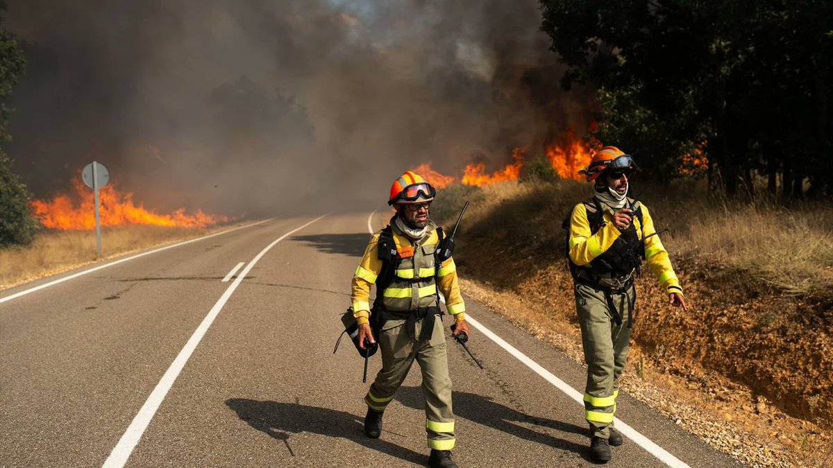 Desde el <a href="/PartCastellano/">Partido Castellano - Tierra Comunera</a> enviamos nuestras condolencias a las familias de los 3 fallecidos en la lucha contra el fuego en #Zamora y Madrid, y nuestros  deseos de una pronta recuperación a los heridos

🧵partidocastellano.org/2025/08/14/cas…

#León #Palencia