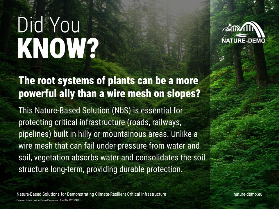 NATURE-DEMO tweet media