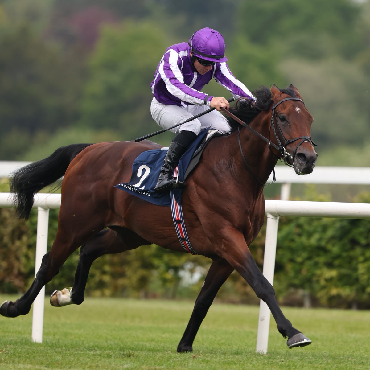 Confirmed for the Juddmonte International Stakes at York on Wednesday August 20:

🌟 Anmaat
🌟 Danon Decile (ダノンデサイル)
🌟 Ombudsman
🌟 See The Fire
🌟 Daryz
🌟 Delacroix
🌟 Lambourn
🌟 Whirl

Birr Castle is set to be supplemented, completing a provisional field of nine.