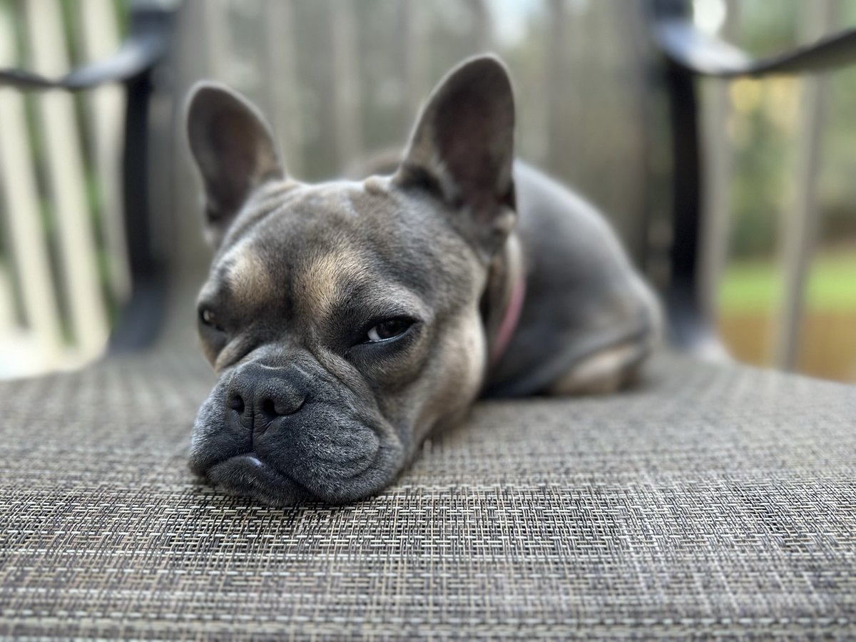 Mike Bales 🫡🇺🇸 (@mikebales) on Twitter photo My sleeping pattern isn’t even a pattern. It’s a freestyle. 😣
Good morning….. My sleeping pattern isn’t even a pattern. It’s a freestyle. 😣
Good morning…..