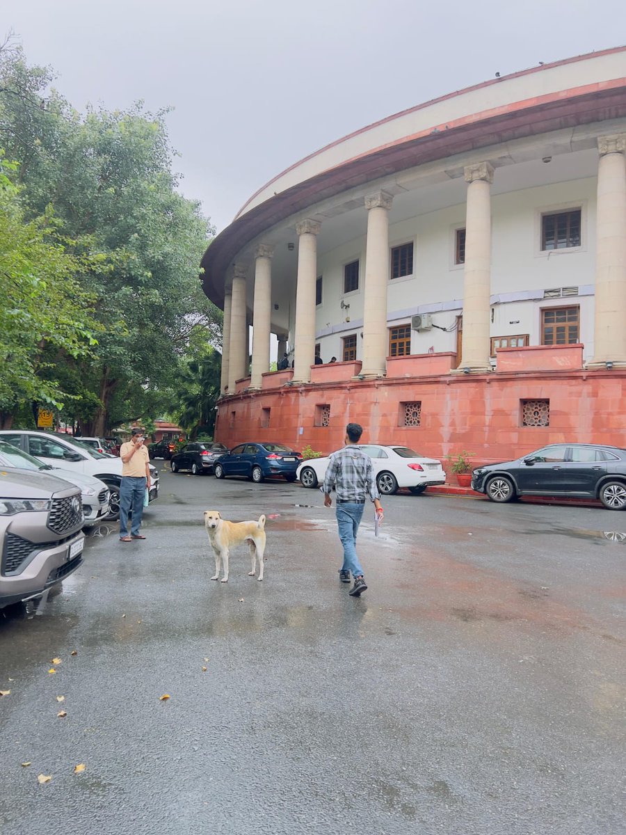 He's on the hunt for a big  lawyer to file a #Petition challenging the order before a larger bench.