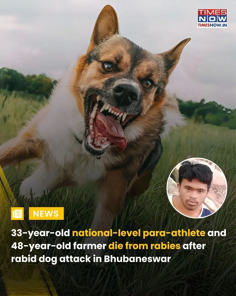 NetiNeti24's tweet photo. ओडिशा के बोलनगीर में एक पागल कुत्ते के काटने से एक राष्ट्रीय स्तर के पैरा-एथलीट की मौत हो गई। बताया जा रहा है कि कुत्ते ने 23 जुलाई को 33 वर्षीय पैरा-एथलीट जोगेंद्र छत्रिया और स्कूल जा रहे कुछ छात्रों समेत छह लोगों पर हमला कर दिया था। https://t.co/8IptZyBWhg