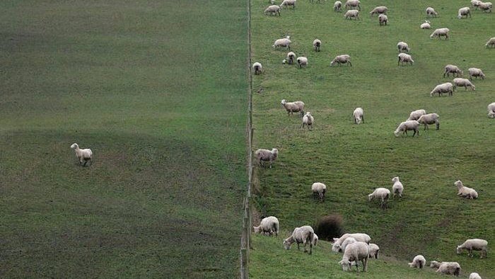 moodyonmoon's tweet image. 