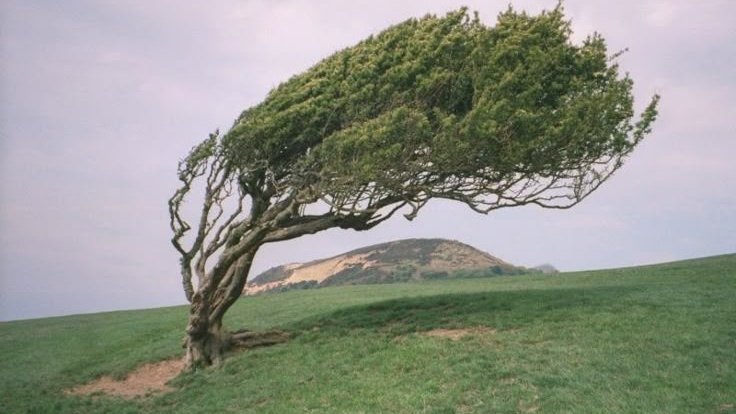 moodyonmoon's tweet image. 