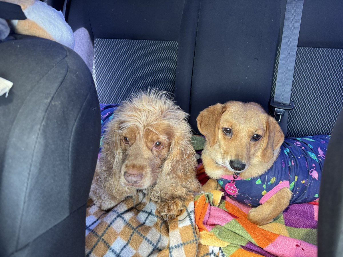 Bugün gödü geberikler olarak Cihangir’de online olacağız