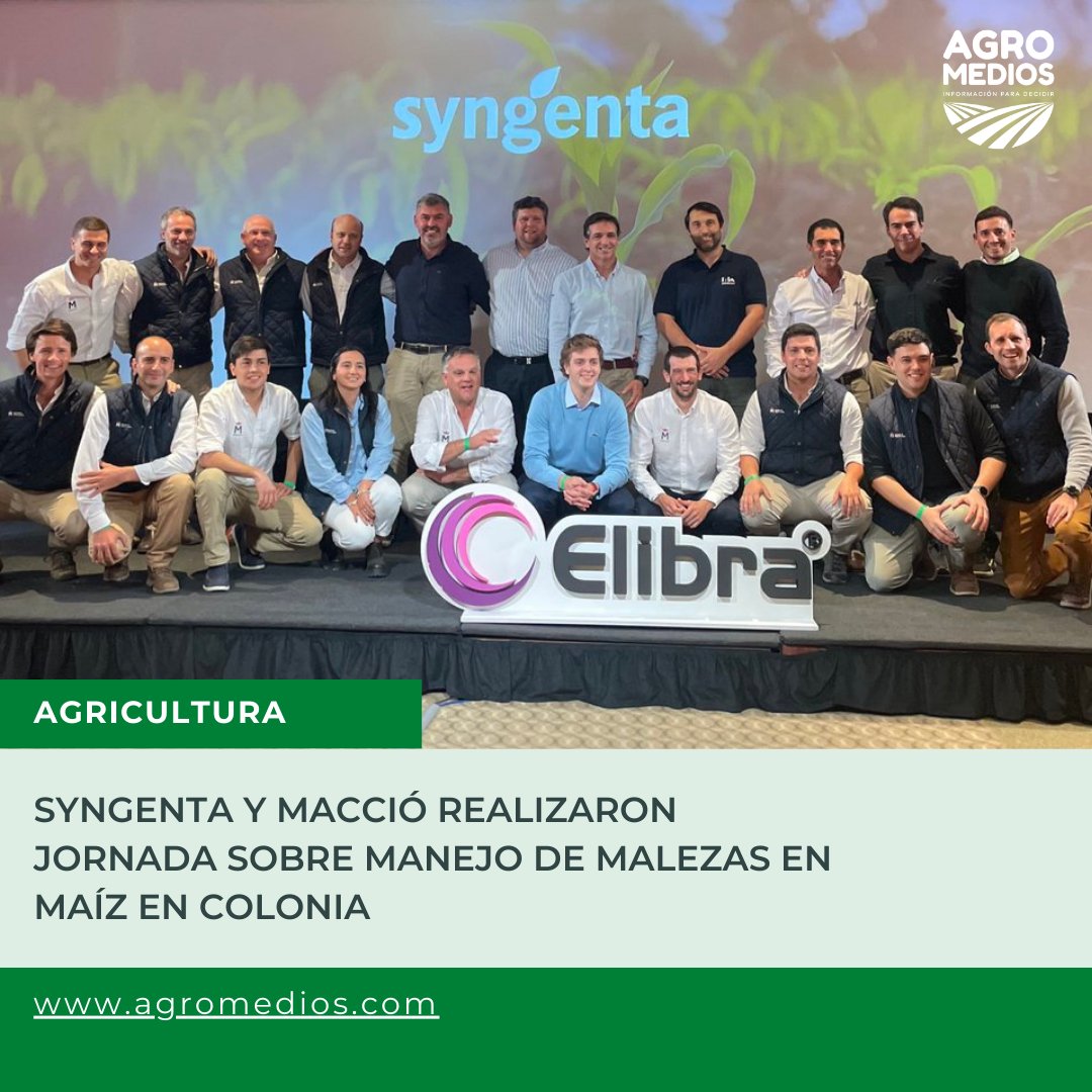<a href="/SyngentaUy/">Syngenta Uruguay</a> y <a href="/macciocultivar/">Pedro Maccio y Cía. S.A.</a> realizaron en Colonia una jornada sobre manejo de malezas en maíz, enfocándose en resistencias. Se presentó la herramienta ELIBRA y se destacó la importancia de combinar prácticas químicas y culturales.
Foto gentileza Macció