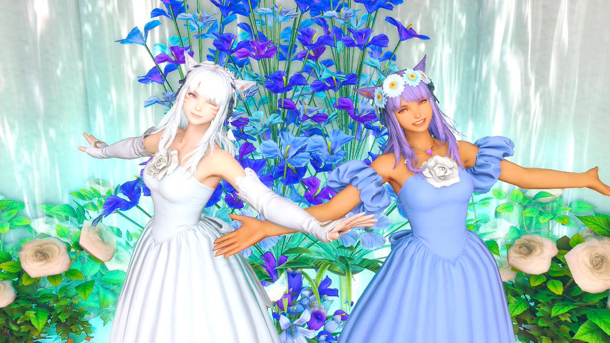 takoyakinoryu's tweet image. みこみこ👗

素敵なスタジオだったーっ❣️

さすがにかわいいね🤍🩵
ハーフツインもよく似合う猫🐾

にゃー🐈‍⬛

#FF14 #FF14SS #UTMstudio