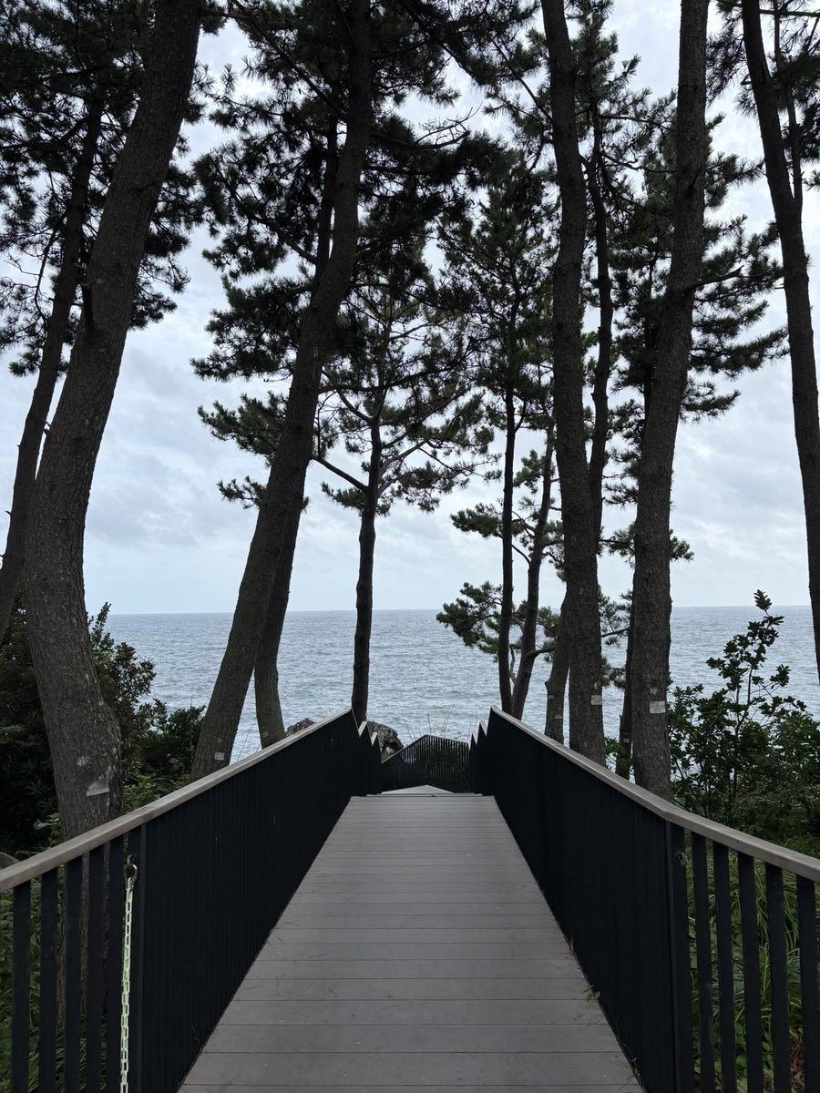 mohammed tweet media