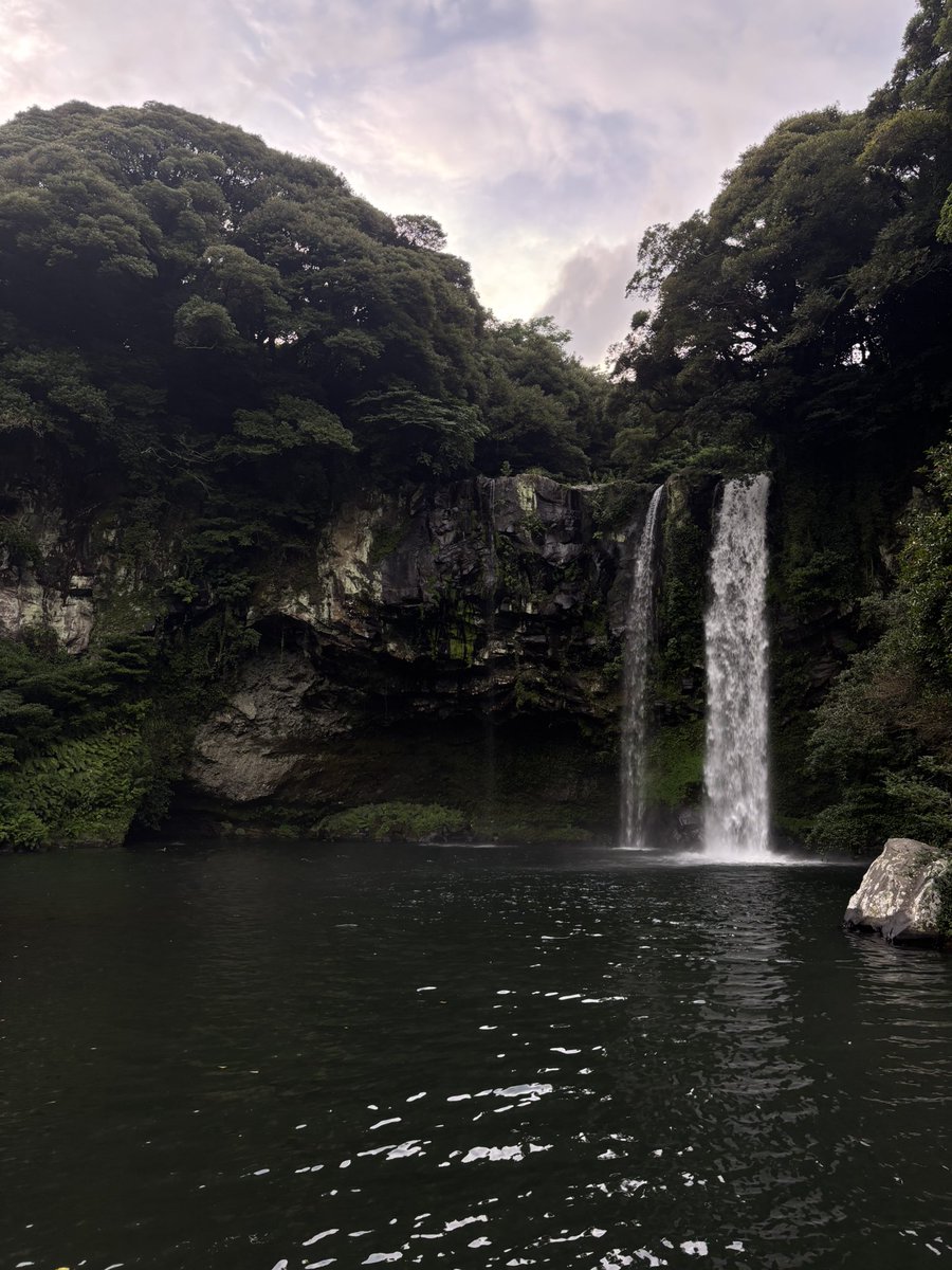 mohammed tweet media