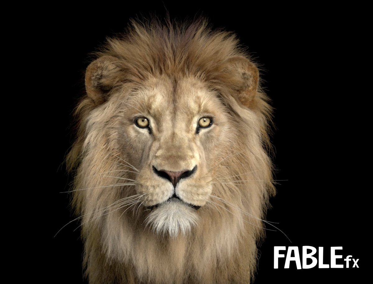 FABLEfx tweet media