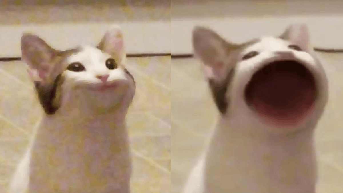 kit3me11o's tweet photo. eunkwang on the thumbnail vs eunkwang in the video https://t.co/Evx358e9sf