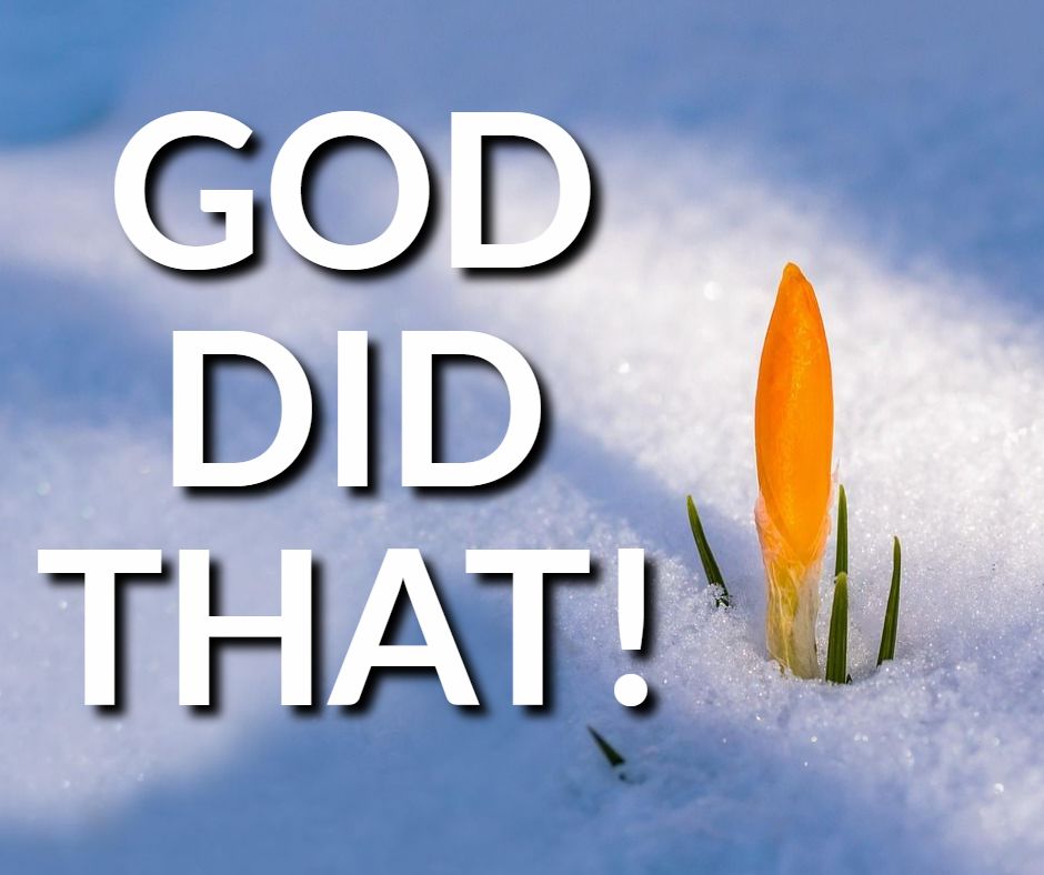 FocusChurch's tweet photo. Sometimes we get so caught up in the chaos of everyday life that we forget to pause and recognize all the incredible ways God has shown up for us. Think back over your life - those moments when things could have gone terribly wrong but somehow worked out, the doors that opened when you least expected them, the provision that came just in time, the protection you didn't even know you needed. 

Those weren't coincidences or lucky breaks. God did that. He's been actively working behind the scenes of your story, orchestrating circumstances, moving hearts, and making ways where there seemed to be no way. Today, take a moment to remember His faithfulness. Let it fill you with gratitude and remind you that the same God who has been with you through every season is still with you now, still working, still caring, still moving on your behalf. What "God did that" moment can you praise Him for today?